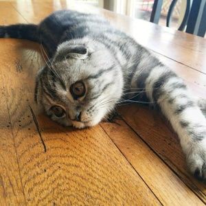 Meet your Posher, Kiona